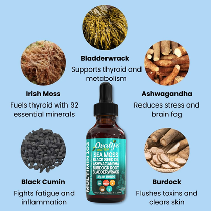 Irish Seamoss Thyroid Hormone Regulator